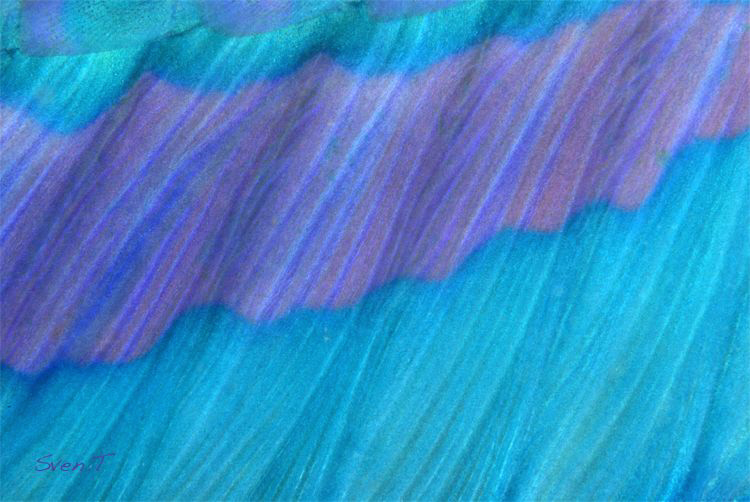 Soft abstract.. by Sven Tramaux 
