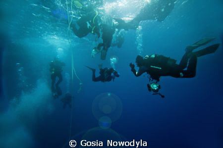 Everybody is trying to get out of the water ... but there... by Gosia Nowodyla 