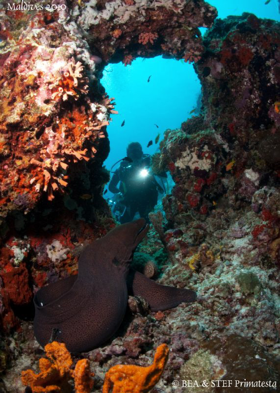 Bea watching a giant moray eel. Canon G10, 12mm fisheye. by Bea & Stef Primatesta 