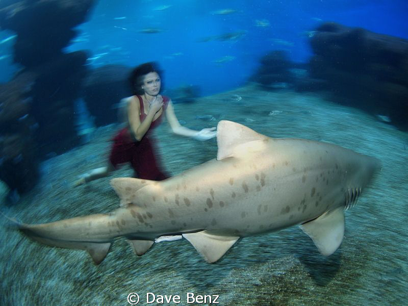 Another modelshooting. Amazing !!! by Dave Benz 