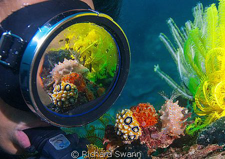 Double fun ! Couldn't seem to find the right category for... by Richard Swann 