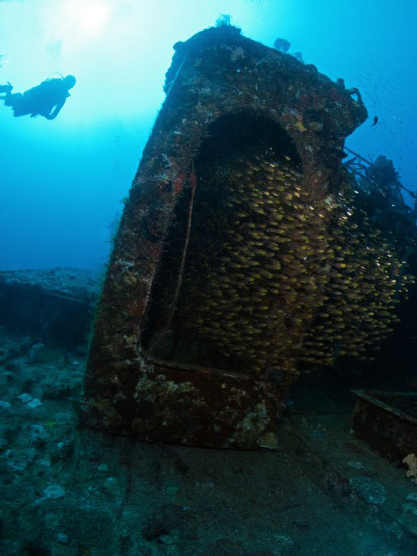 Glassfish on the Kuda Giri wreck. Canon G10, 12mm fisheye. by Bea & Stef Primatesta 