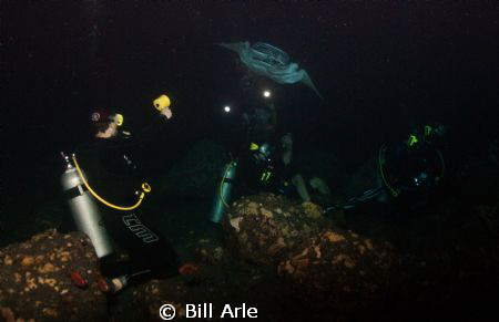 Incoming manta.  Night dive.  Big Island, Hawaii. by Bill Arle 