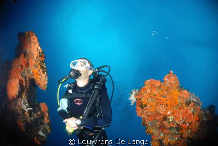 Wide angle diver shot by Louwrens De Lange 