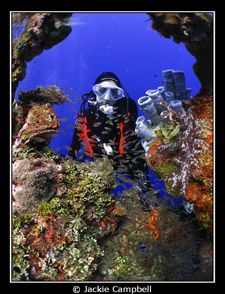 Another example of the life and growth on Truk Lagoon's w... by Jackie Campbell 