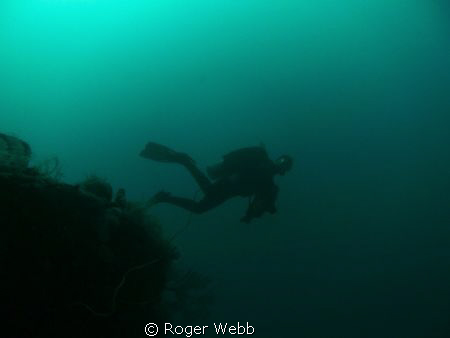 An algae bloom gave the water at a 100' the greenish cast... by Roger Webb 