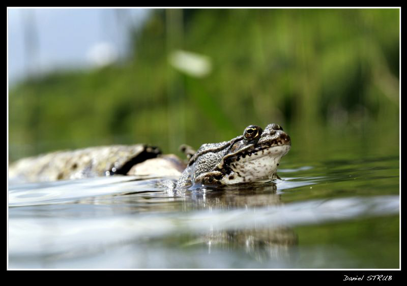 Today's catch in "the Duzillet" with buddy Sven :-D by Daniel Strub 
