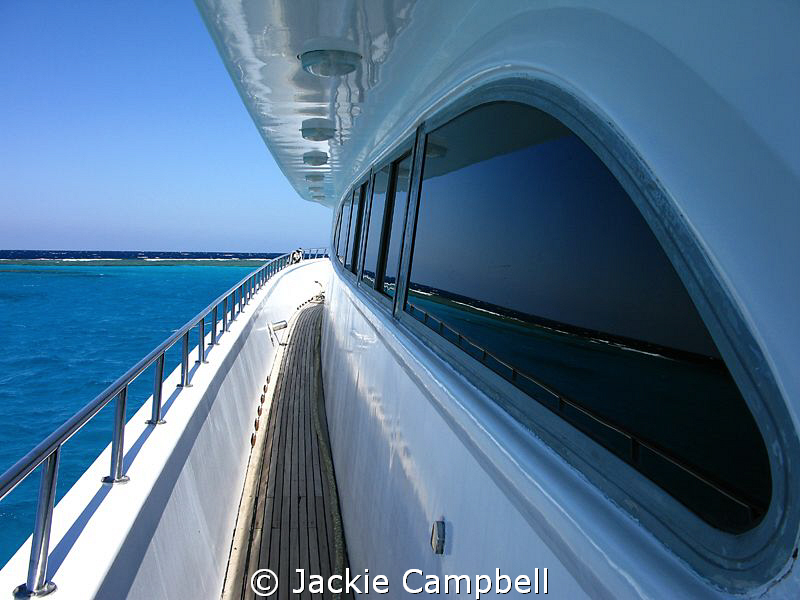 Reflections of a dive site...... by Jackie Campbell 