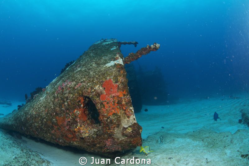 wreck dive C*58 ANAYA by Juan Cardona 