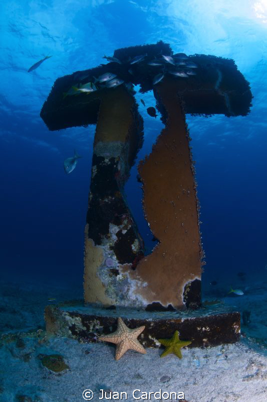 Isla Mujeres by Juan Cardona 
