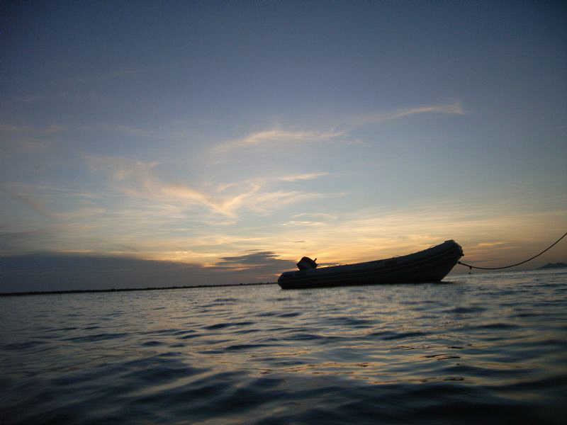 One last look before dropping down for a transition dive. by Lisa Hinderlider 