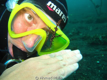 Lembeh strait, North Sulawesi by Ahmad Mulla 