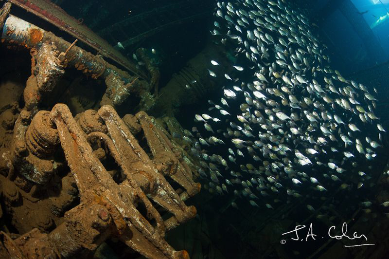Engine Room of Giannis D by Julian Cohen 