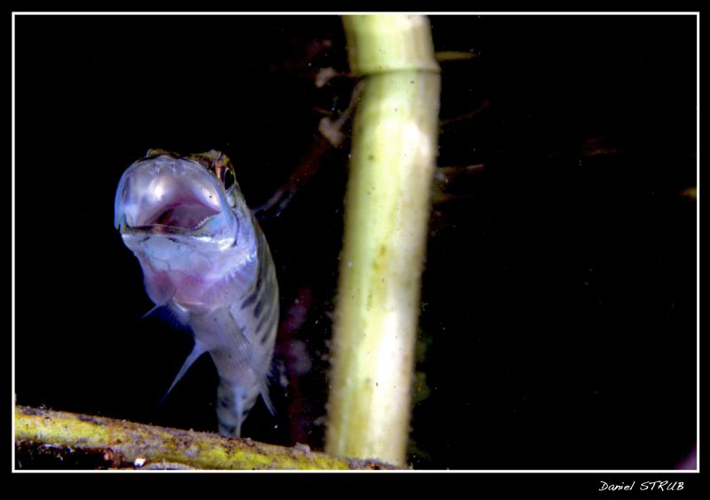 2days dive with buddy Sven :-D by Daniel Strub 