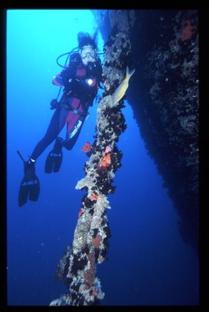 thistlegorm wreack, sinai red sea egypt by Marco Zanini 