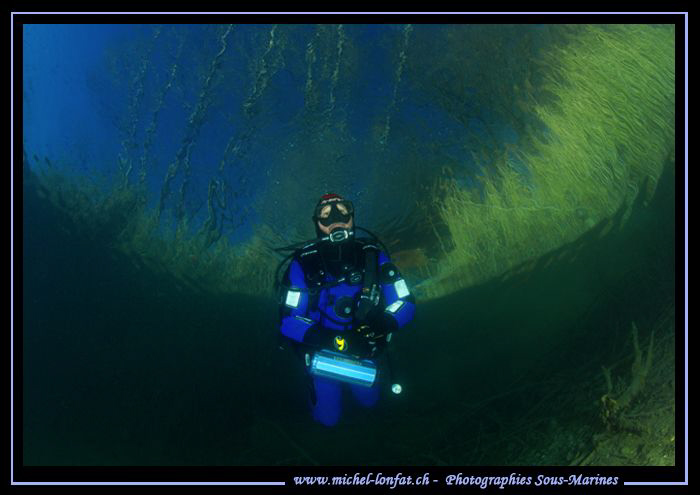 My good friend JP diving in the clear waters of our small... by Michel Lonfat 