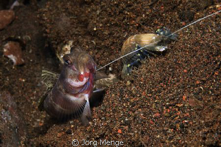 Flat Share by Jörg Menge 