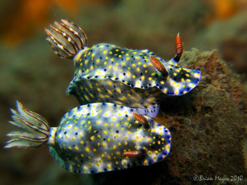 "On your marks, get set, go!" by Brian Mayes 