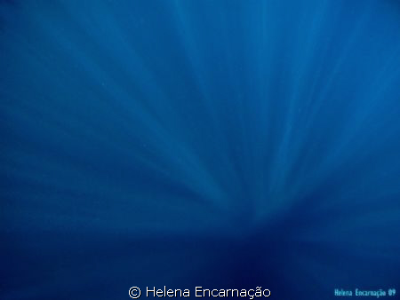Vertigo. by Helena Encarnação 