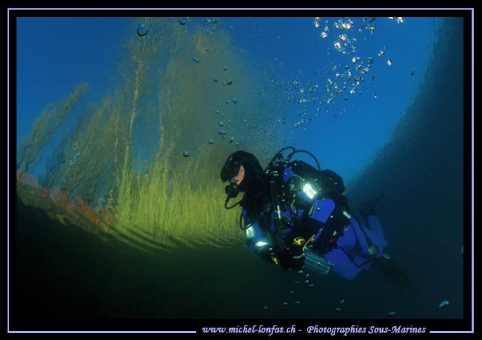 Clear waters in our small lakes arround my home... Que du... by Michel Lonfat 