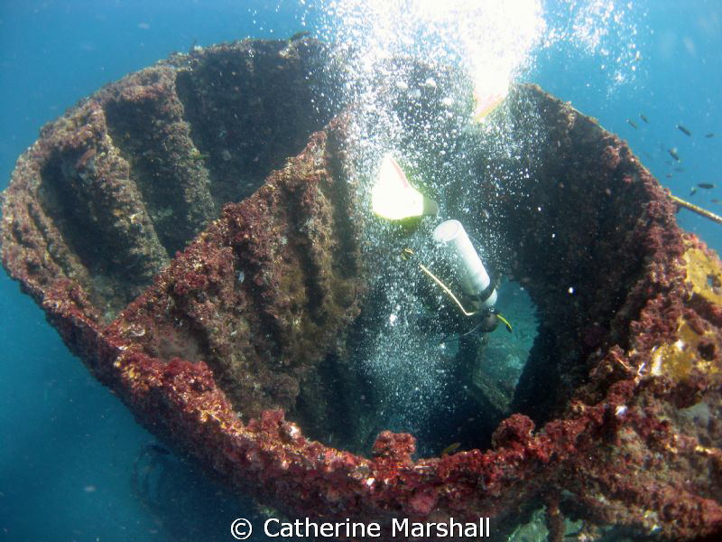 Ex-HMAS Brisbane - an artificial reef, one entry is via t... by Catherine Marshall 