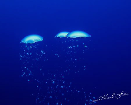 Just bubbles... by Matthew Fischbach 