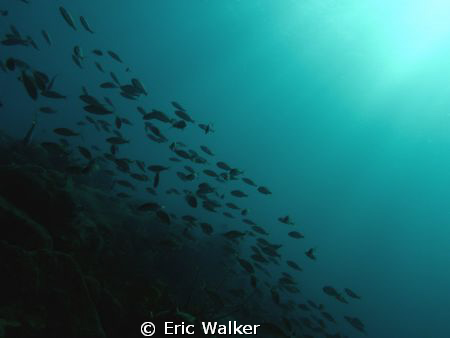 Sun Rays by Eric Walker 