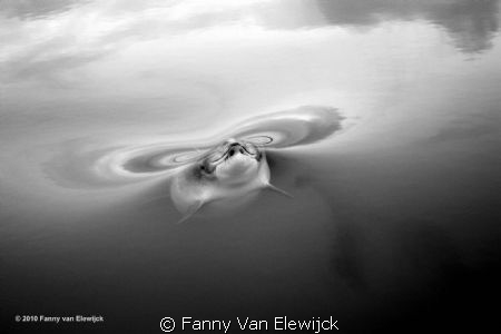 This picture was taken in the early morning during a sail... by Fanny Van Elewijck 