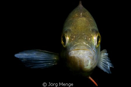 This way, please ! by Jörg Menge 