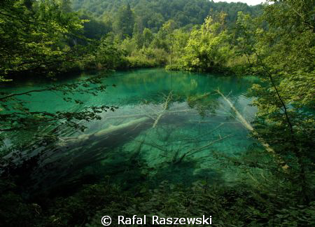 just,pure water by Rafal Raszewski 