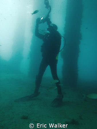 My Dive Buddy!!! by Eric Walker 