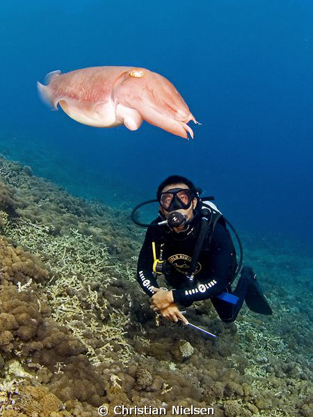 Cuttlefish with my guide Wayan. Olympus E330, 8mm fisheye... by Christian Nielsen 
