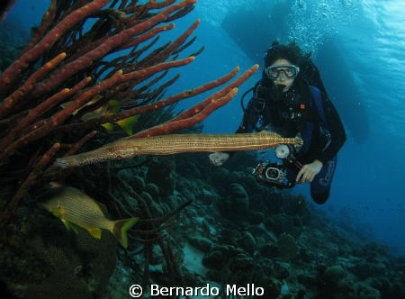 An special moment in Boinaire by Bernardo Mello 