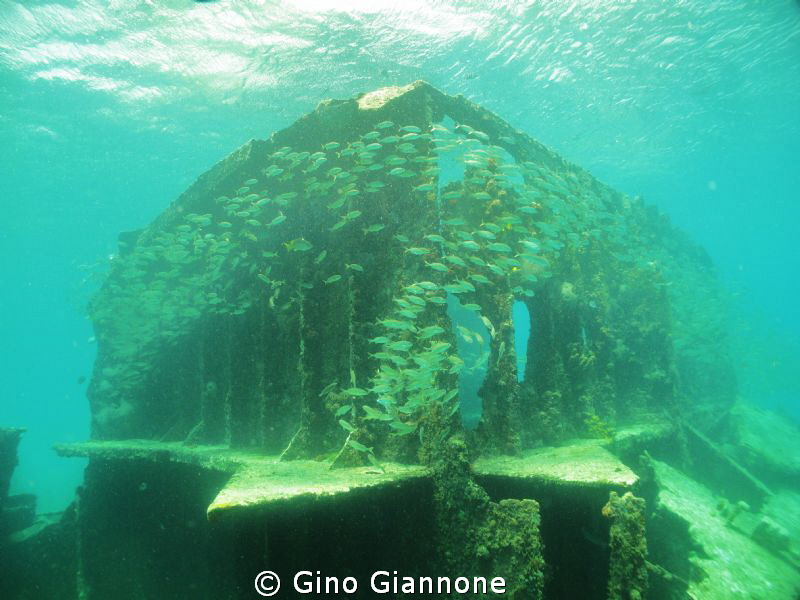 Everytime i see this picture i recall the roman coliseum ... by Gino Giannone 