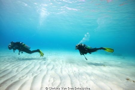 For a while,we had to swim to deeper water, and I found m... by Christa Van Den Driessche 