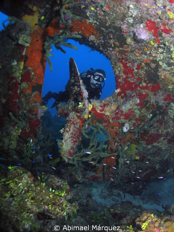 Evelio and the wreck by Abimael Márquez 