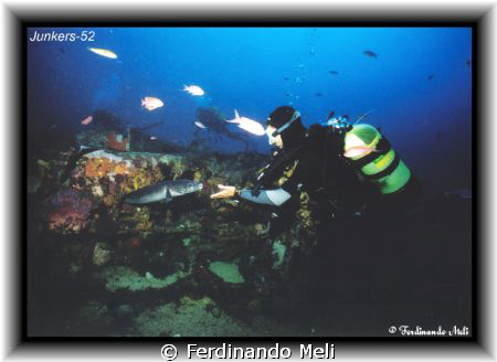 A big Conger conger in the wrecks of a aircraft Junkers-5... by Ferdinando Meli 