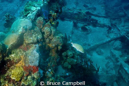 Hull of the RMS Rhone by Bruce Campbell 