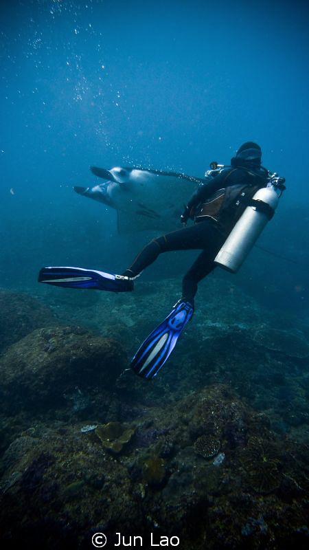 an hour with mantas at manta point by Jun Lao 