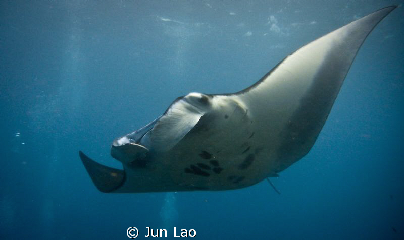 at the carwash, manta point bali by Jun Lao 