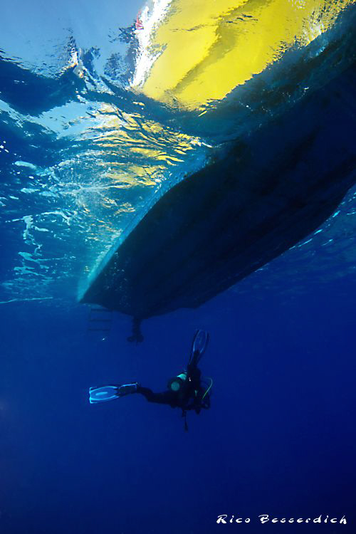 The end of the dive. CANON 40D, Sigma 10-20, Ike housing,... by Rico Besserdich 