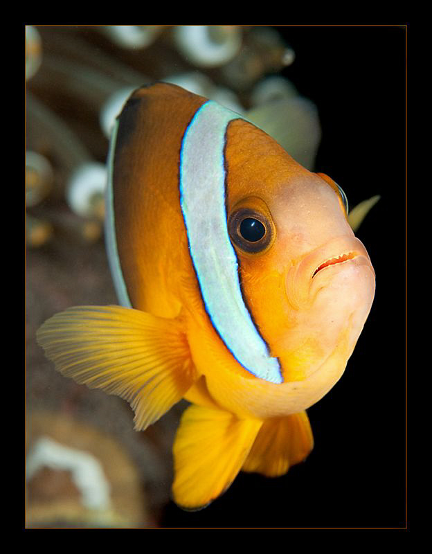 Love the attitude of these guys. by Charles Wright 