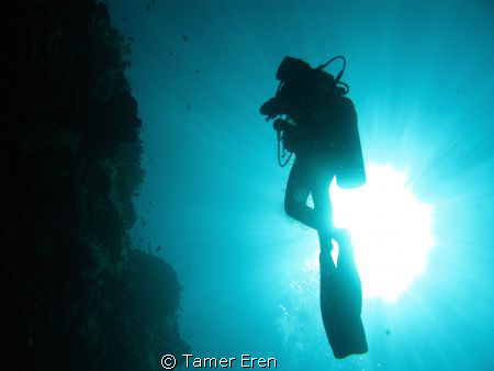 Sipadan by Tamer Eren 