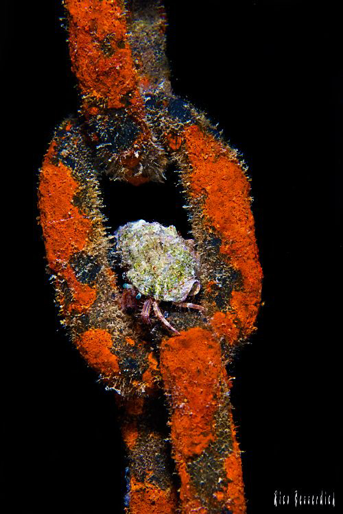"Chain of Fools". CANON 40D, 1/90s, F:13, ISO: 125, 60mm ... by Rico Besserdich 