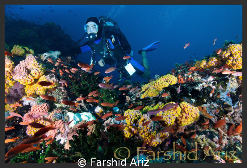 It was near the end of our dive when we got to this point... by Farshid Ariz 