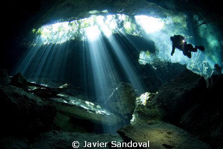 Diver in cenote by Javier Sandoval 