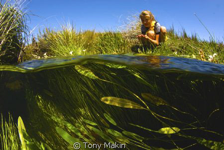 Mountain stream by Tony Makin 