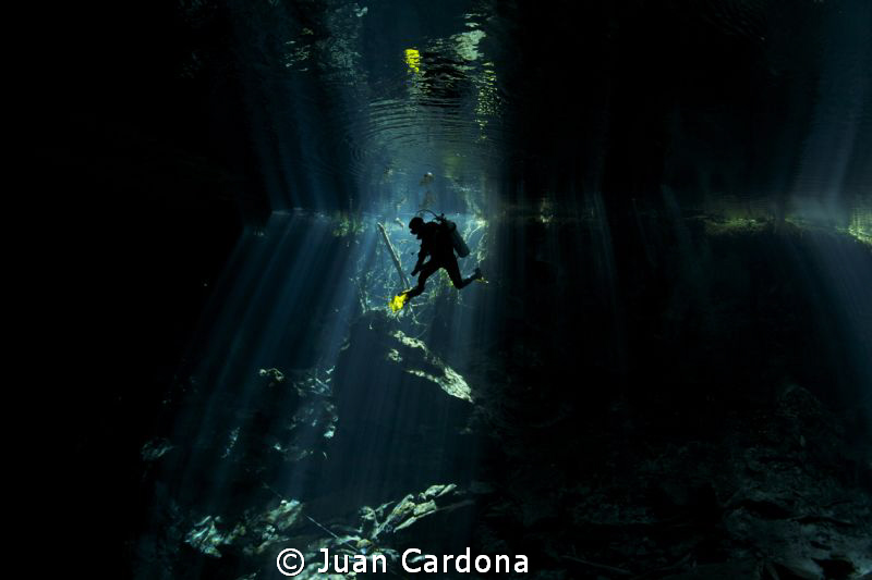I can`t believe This !! Can you? by Juan Cardona 