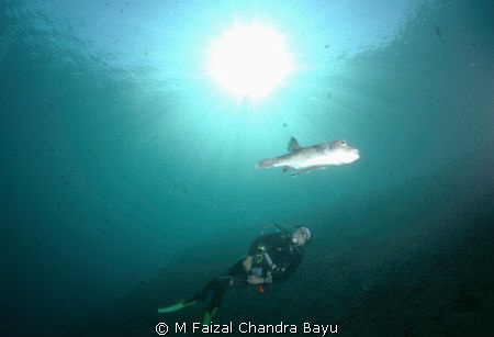 Drop Off - Tulamben, Bali by M Faizal Chandra Bayu 