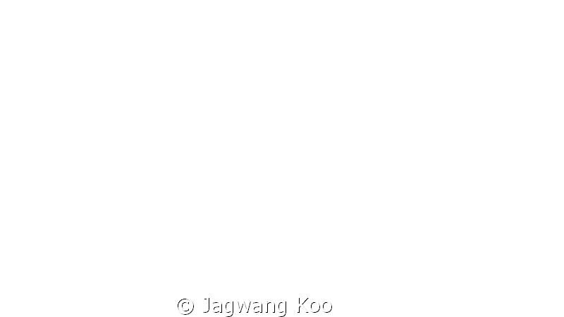 5d / 100mm Macro by Jagwang Koo 